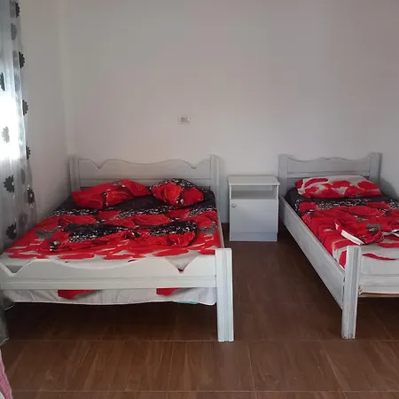 Toni * Polisi i Vogel