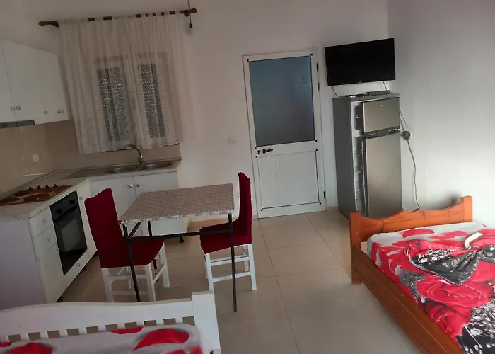 Toni * Polisi i Vogel