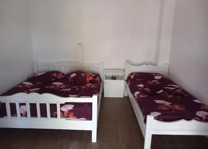Toni Gasthuis Polisi i Vogel