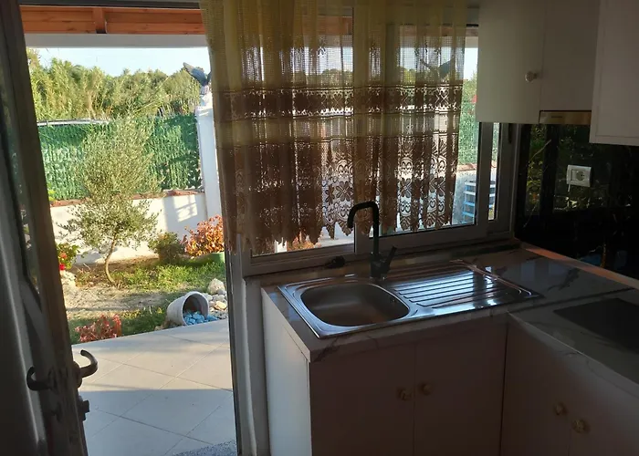 Toni * Polisi i Vogel